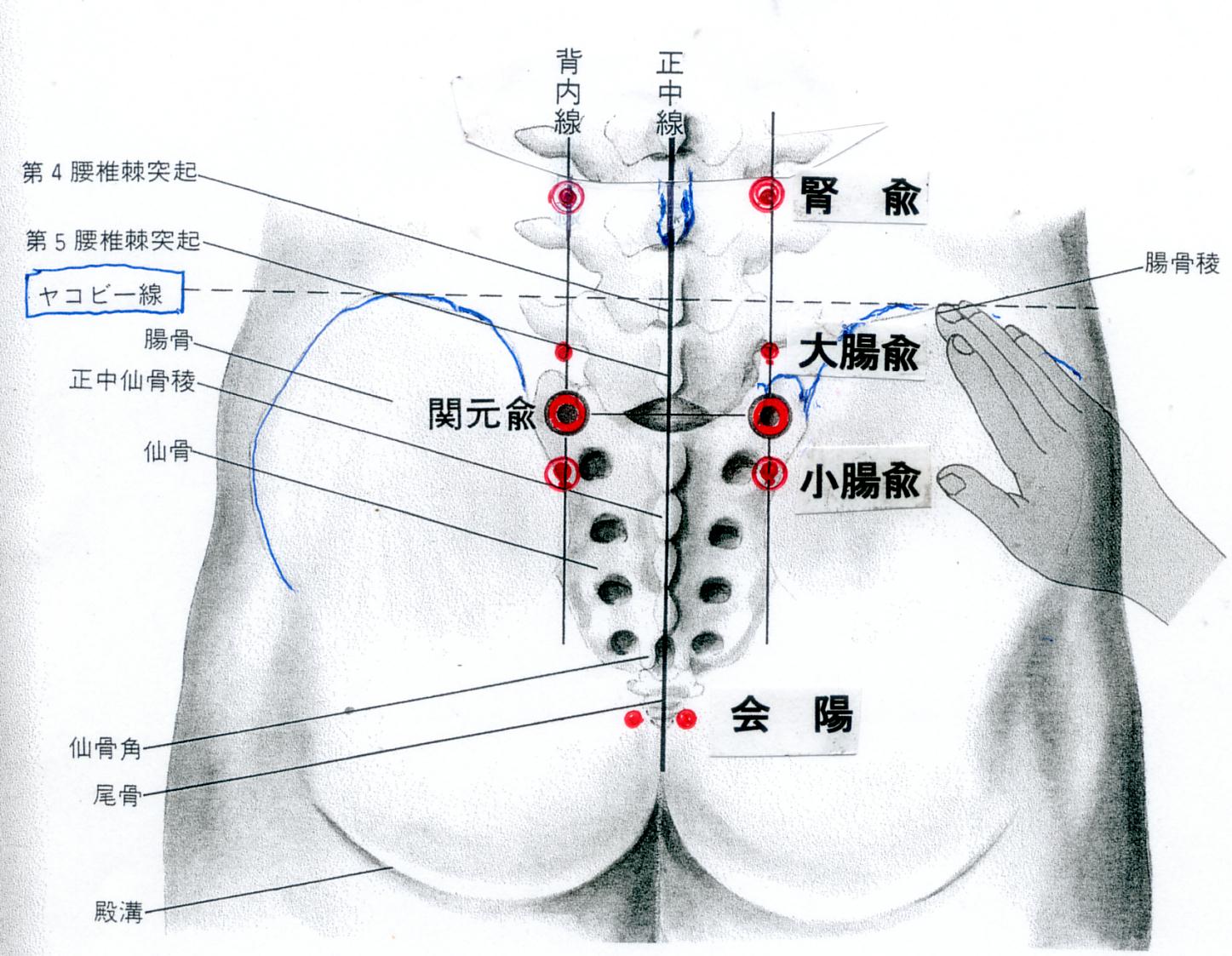 性欲 つぼ